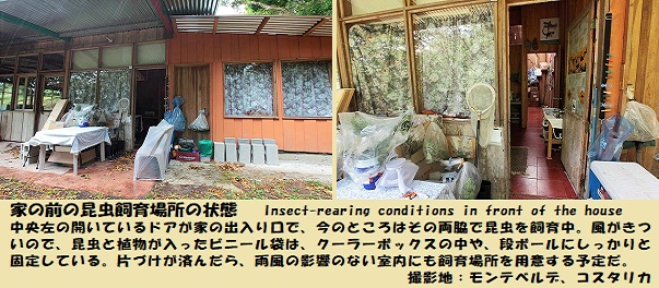 飼育場ｰ1