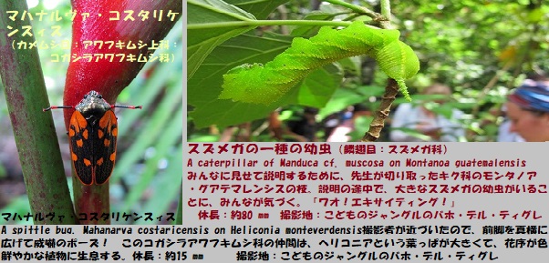 モンテ-3