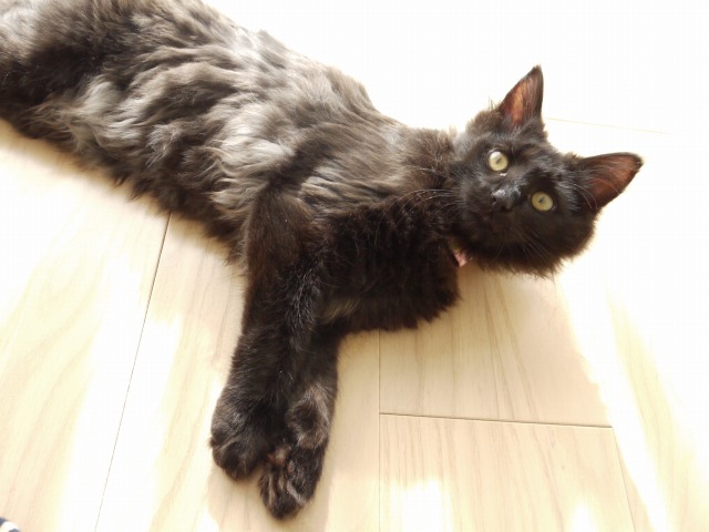 俺はシラフだぜ