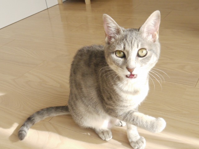 たまちゃんもシラフよ
