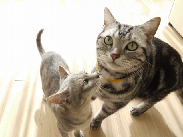 もきち〜しっかりしてね〜