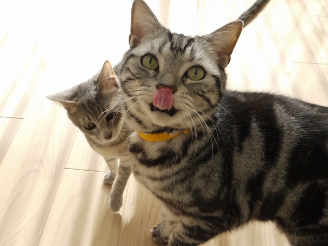 でへへ