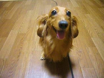 けんちゃん