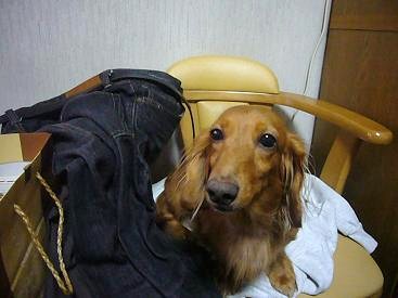 けんちゃん