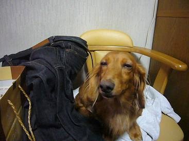寝そう。。。