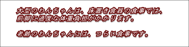 わん卓の写真