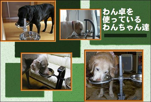 わん卓を使うわん卓の写真