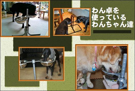 わん卓を使うわん卓の写真