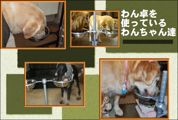 わん卓を使うわん卓の写真