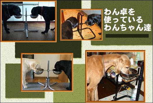 わん卓を使うわん卓の写真