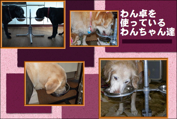 わん卓を使うわん卓の写真