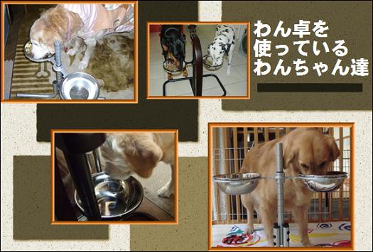 わん卓を使うわん卓の写真