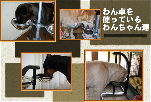 わん卓を使うわん卓の写真