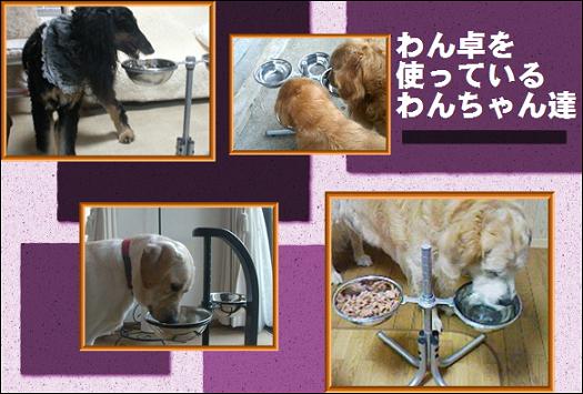 わん卓を使うわん卓の写真