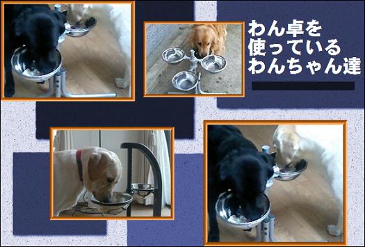 わん卓を使うわん卓の写真