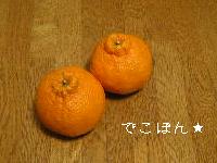 でこぽんに焼肉　2006/3/29