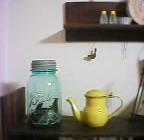 旅がしたいのです。　2006/5/17