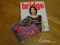 Cocco　2006/7/4