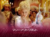 映画にビデオ　2007/1/31