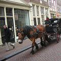 旅日記　～オランダ４日目～　2008/3/2