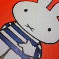 作業途中のひと休み　2008/4/18