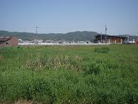 あふれる思い　2009/5/17