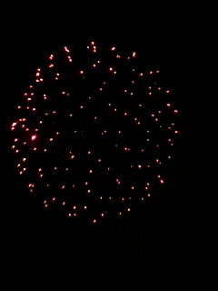 今年の夏も　2010/7/25