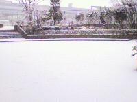 雪がたくさん振った日。　2011/2/14