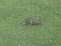 到着しました。　2011/4/3