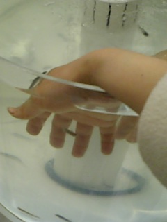 20070310_267516.jpg