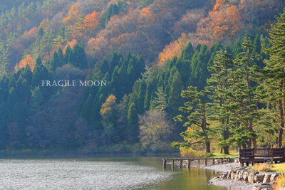 湖の紅葉