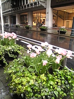 渋谷・神南1丁目付近