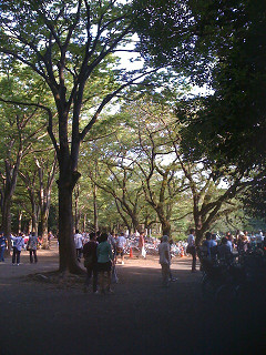 吉祥寺・井の頭公園