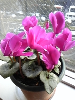 140228_092035.jpg
