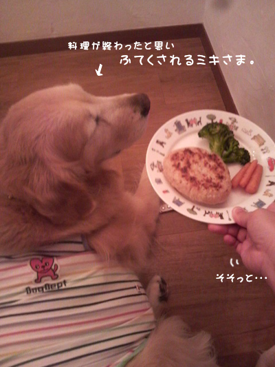 izu_8.jpg