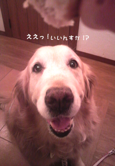 izu_9.jpg