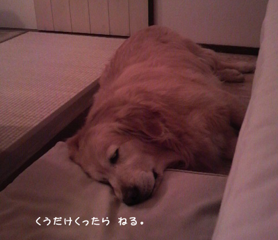 izu_11.jpg