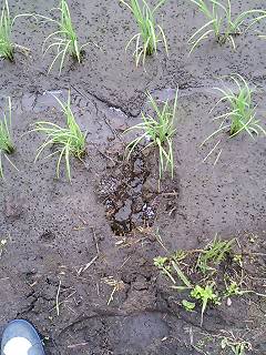 20060530_17481.jpg