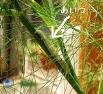 青虫