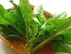 ほうれん草