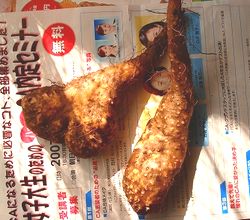 もらったヤマイモ