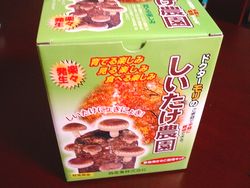 椎茸農園