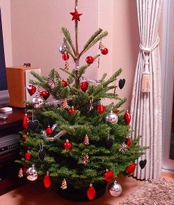 クリスマスツリー