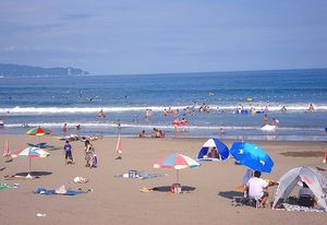 鴨川の海