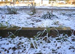 積雪