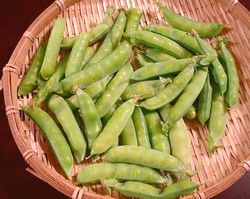 キヌサヤの豆
