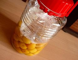 梅干し仕込み