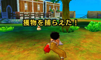 uso_虫捕り01