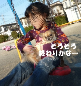 犬