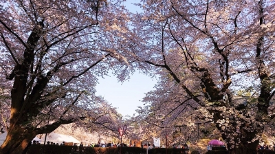hirosaki heart
